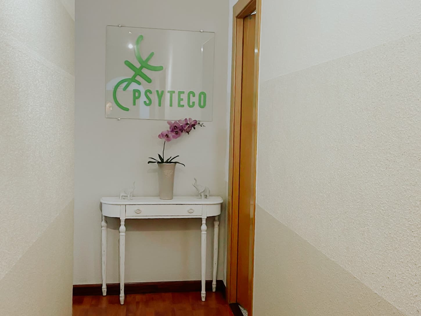 Recibidor de Psyteco: el rótulo de la clínica sobre una consola blanca con una orquídea, junto a la puerta de acceso a las consultas.